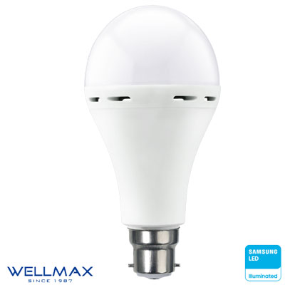 LED Function Bulbs